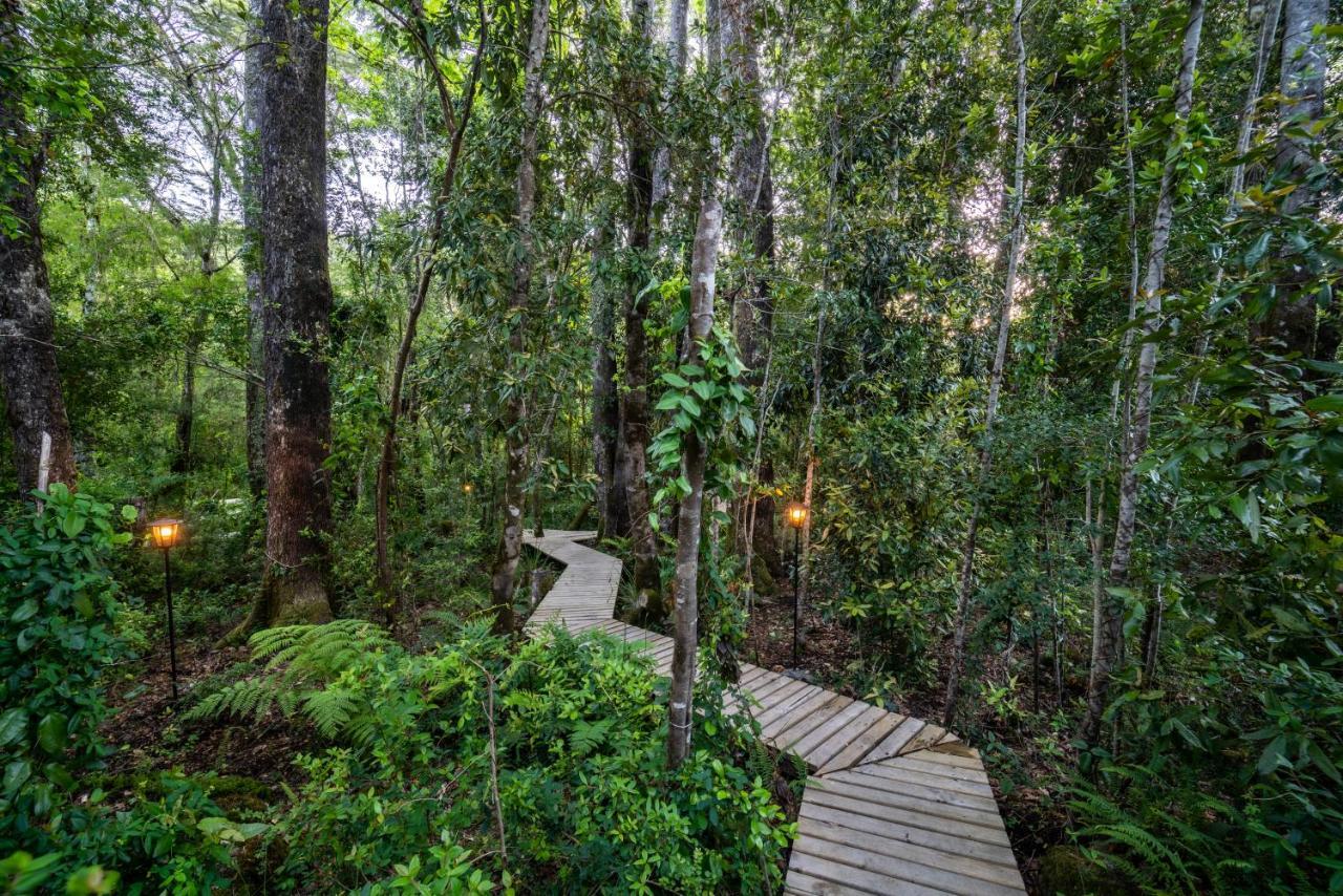 Rakau Lodge Pucón Esterno foto